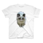 ぱわー!の飼い猫のグッズ4 Regular Fit T-Shirt
