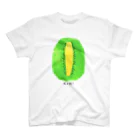 花と女性のイラストレーションのキウイ（kiwifruit）2022 Regular Fit T-Shirt