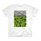 misaki motofujiの茂る スタンダードTシャツ