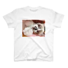 猫のぶんたshopの愉快な仲間たち (茶々) Regular Fit T-Shirt