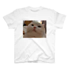 ソイねこもふもふのまんまるソイくん スタンダードTシャツ