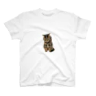 KITTOのもじもじ猫きっと スタンダードTシャツ