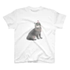 猫との遭遇のうちのにゃ～んこ（サバトラver.） スタンダードTシャツ