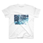 えび ☞ 液体彫刻の溶解と情景 スタンダードTシャツ