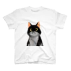 ともる@複業イラストレーター目指してますの三日月目の子猫 スタンダードTシャツ