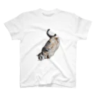 城の3月17日の落ちてる猫です スタンダードTシャツ