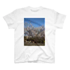 まち子宗形の桜の木 Regular Fit T-Shirt