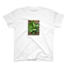 シアン猫の植物図鑑のアガベ ホリダ(加工Ｖｅｒ．) スタンダードTシャツ