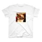 夏休みの犬のまめちゃん スタンダードTシャツ