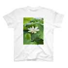 櫻井レンコンのレンコンの花 スタンダードTシャツ