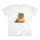 【CPPAS】Custom Pet Portrait Art Studioのブサかわいいスコティッシュフォールドキャット Regular Fit T-Shirt