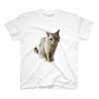 猫ポムの猫のポム　 Regular Fit T-Shirt