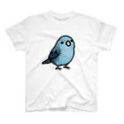 Cody the LovebirdのChubby Bird サザナミインコ　ブルー Regular Fit T-Shirt