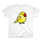 Cody the LovebirdのChubby Bird ワカケホンセイインコ　イエロー スタンダードTシャツ