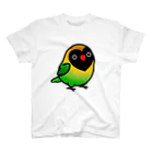 Cody the LovebirdのChubby Bird キエリクロボタンインコ スタンダードTシャツ