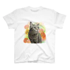 きなこのきじ猫さくらちゃん スタンダードTシャツ