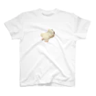 クッキーやさんのおみせやさんのネコクッキー   ふんっ Regular Fit T-Shirt