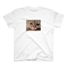 dac0001の愛猫モモのどアップ画！ スタンダードTシャツ