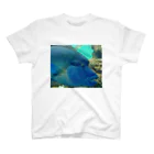 ビーンズ(´・∀・｀;)のFish! スタンダードTシャツ