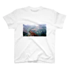 hitoufのハワイの山 スタンダードTシャツ