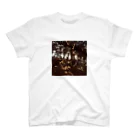 soranoのnatureシリーズ『光の森』 スタンダードTシャツ