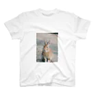 10year1yearのKani（うさぎ）メイン スタンダードTシャツ