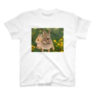 Bambiのクローバーとうさぎちゃん スタンダードTシャツ