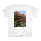 Zunco☺︎のrose garden🌹 スタンダードTシャツ