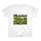 ゲトーファンクの愛犬　せんず君　Tシャツ スタンダードTシャツ