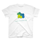 DEEPDRILLEDWELL@井戸の中のColorful Grapes スタンダードTシャツ