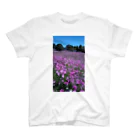 stigmaの秋桜 スタンダードTシャツ