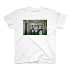 橋本の写真のtoilet in birmingham スタンダードTシャツ