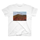 しろくろねこの浅間山 スタンダードTシャツ