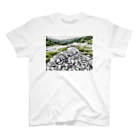 Hari no Yama / 針の山のSacred mountain Osorezan スタンダードTシャツ