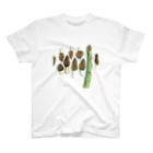 キノコの小部屋 MushAndRoomのトガリアミガサタケ【菌類図譜 キノコ きのこ】 Regular Fit T-Shirt