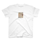 サノズの派手な色の怪しげなユニークデザインのグッズ Regular Fit T-Shirt