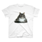 nyaosanのねこ スタンダードTシャツ