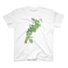 植物の絵師「洋子」の店の梅花空木 Regular Fit T-Shirt