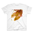 Aquarium Kindの水草のTシャツ Regular Fit T-Shirt