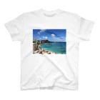 doyoubi333のハワイの風景 スタンダードTシャツ