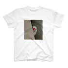 よろしく白文鳥の文鳥は見た(正面顔) Regular Fit T-Shirt