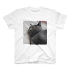 恥部ちゃんの団子の猫2 Regular Fit T-Shirt