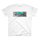 sky001のsky001 frogs  Regular Fit T-Shirt