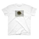 OSHIDORI SHOPの穴_1 スタンダードTシャツ