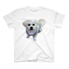 ソラプーのイケメン犬 スタンダードTシャツ