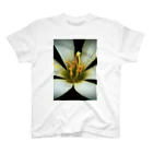 Tシャツ&雑貨の花弁(White) Regular Fit T-Shirt