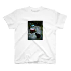 Tシャツ&雑貨の黒猫と遊具 Regular Fit T-Shirt