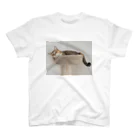 gaga_the_catのねむいガガ スタンダードTシャツ