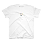 southstarのType  1 diabetes  1型糖尿病 スタンダードTシャツ