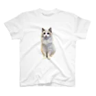 VISgraphicsのSOPO スタンダードTシャツ